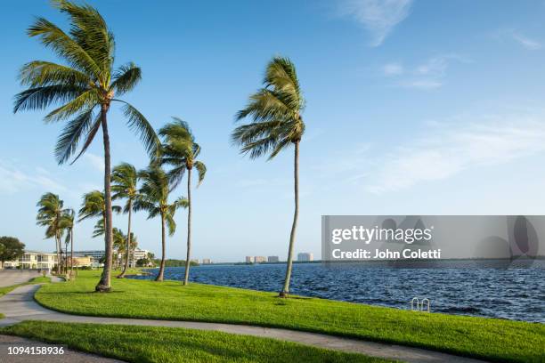 florida, fort myers, residential community, caloosahatchee river - cape coral stockfoto's en -beelden