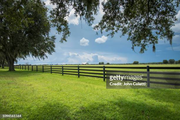 florida, myakka city, farmland - ranch fence stock pictures, royalty-free photos & images