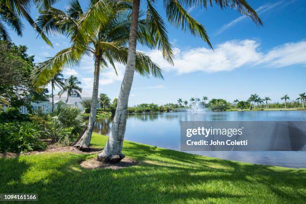 florida, naples, residential community - naples florida stock pictures, royalty-free photos & images