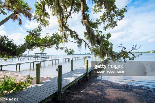 florida, osprey, bay preserve, little sarasota bay - sarasota stock pictures, royalty-free photos & images