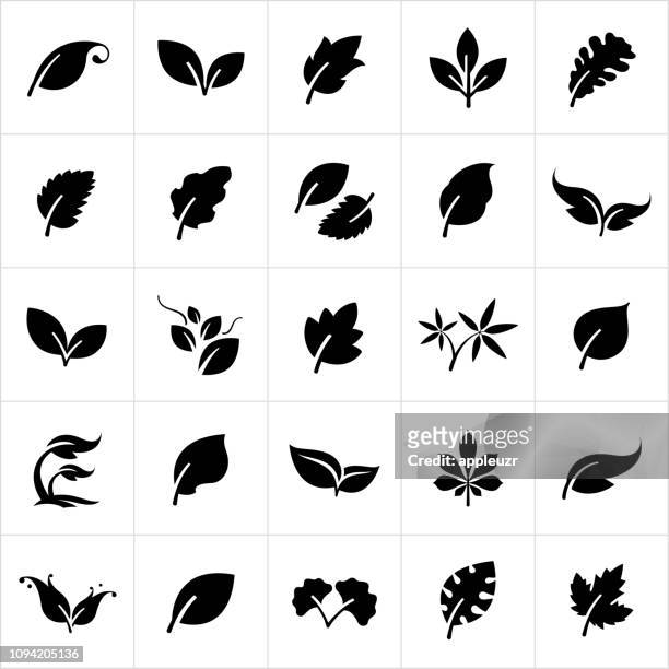 leaf icons - leaf stock illustrations