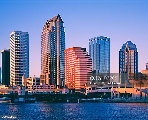 skyscrapers at dusk - tampa stock pictures, royalty-free photos & images