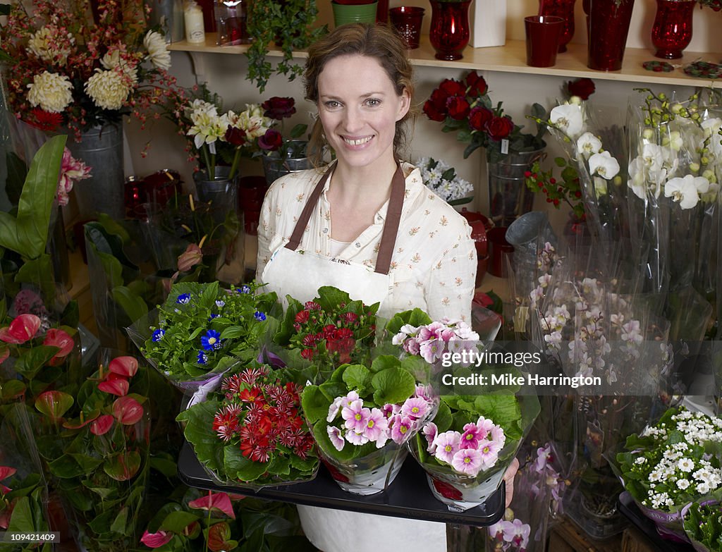 Female Florist Holding a Selection of Flowers