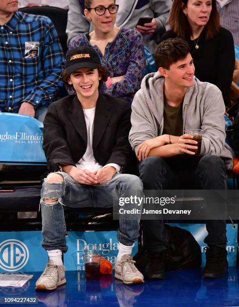 Timothee Chalamet attends Detroit Pistons v New York Knicks game at Madison Square Garden on February 5, 2019 in New York City.