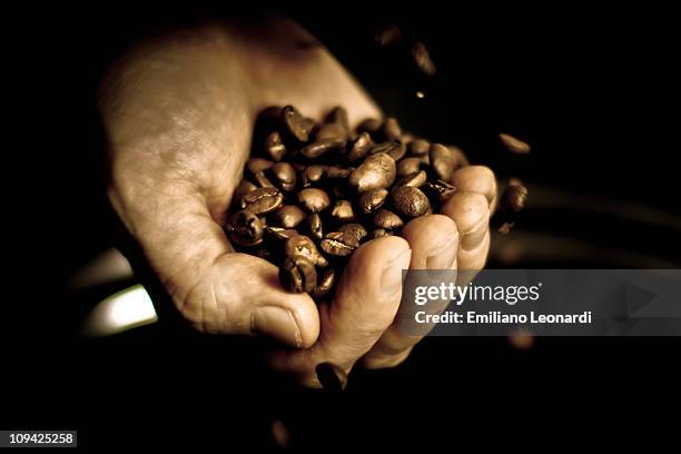 hand full of coffee - rohe kaffeebohne stock-fotos und bilder