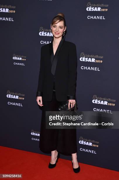 Louise Bourgoin attends 'Cesar-Revelations 2019' at Le Petit Palais on January 14, 2019 in Paris, France.