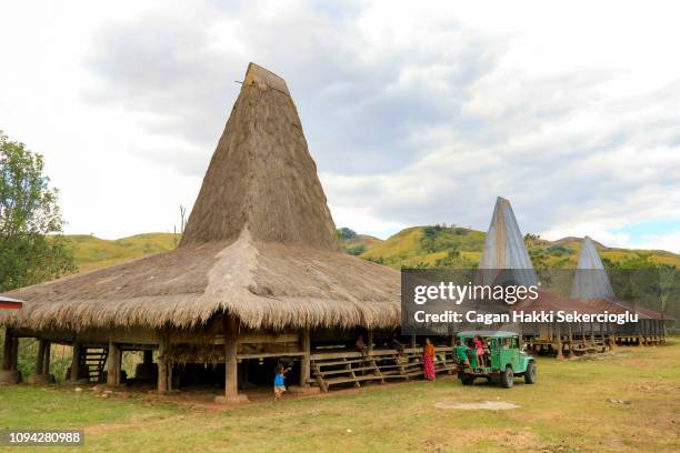 Marameri Pambu Marapu Photos and Premium High Res Pictures - Getty Images