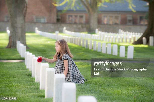 caucasian girl putting flower in headstone in cemetery - blank gravestone stockfoto's en -beelden
