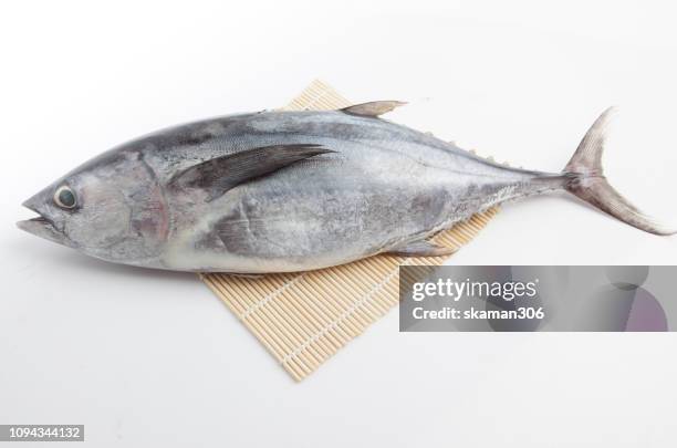 close up japanese tuna (maguro) with white backgrund isolated - perciformes stock pictures, royalty-free photos & images