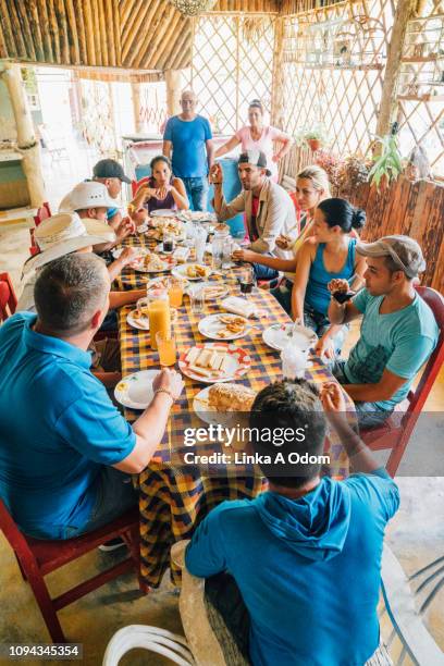 casual daytime dinner party - vinales stockfoto's en -beelden