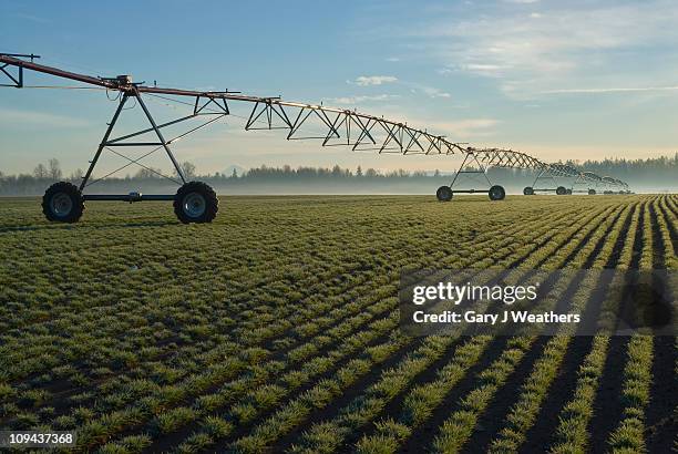 usa, oregon, agricultural sprinklers in field - oregon stock photos et images de collection