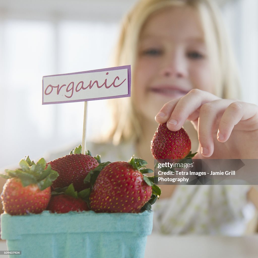 USA, New Jersey, Jersey City, Girl (8-9) eating organic strawberries