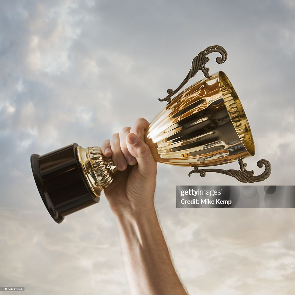Hand holding trophy against sky