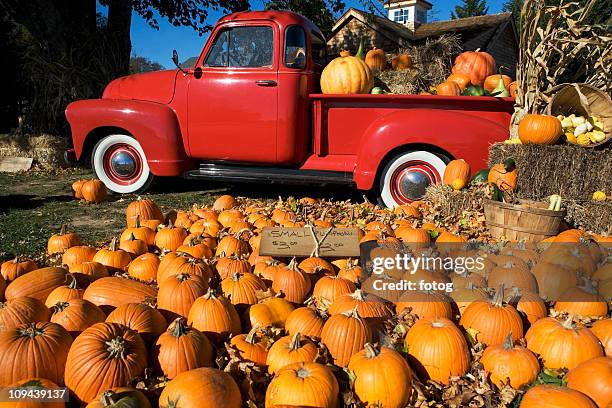 usa, new york, peconic, pumpkin farm with pickup truck - pumpkin patch stock pictures, royalty-free photos & images