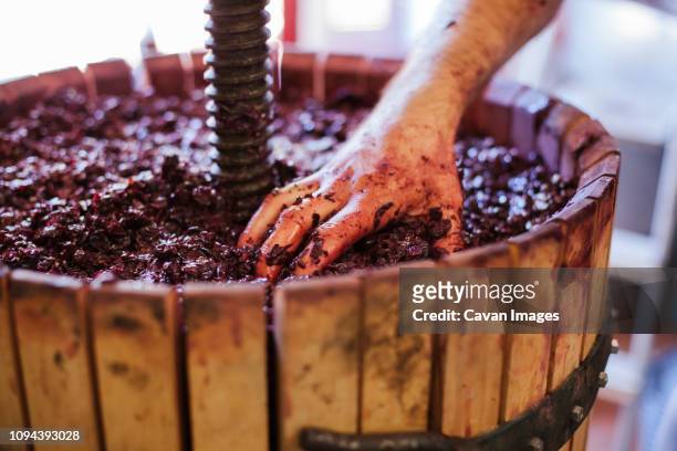 cropped hand of male vintner making wine in cask at factory - wine cellar stock pictures, royalty-free photos & images