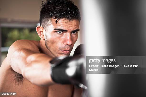 usa, seattle, portrait of young man in gym wearing boxing gloves -  "suprijono suharjoto" or "take a pix media" stock pictures, royalty-free photos & images