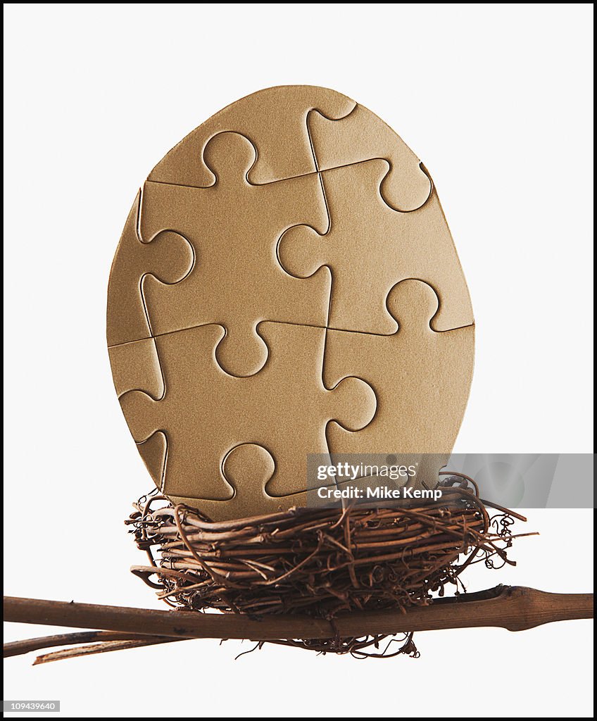 Puzzle egg in bird's nest