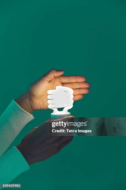 woman's hands holding energy efficient lightbulb - hände glühlampe stock-fotos und bilder