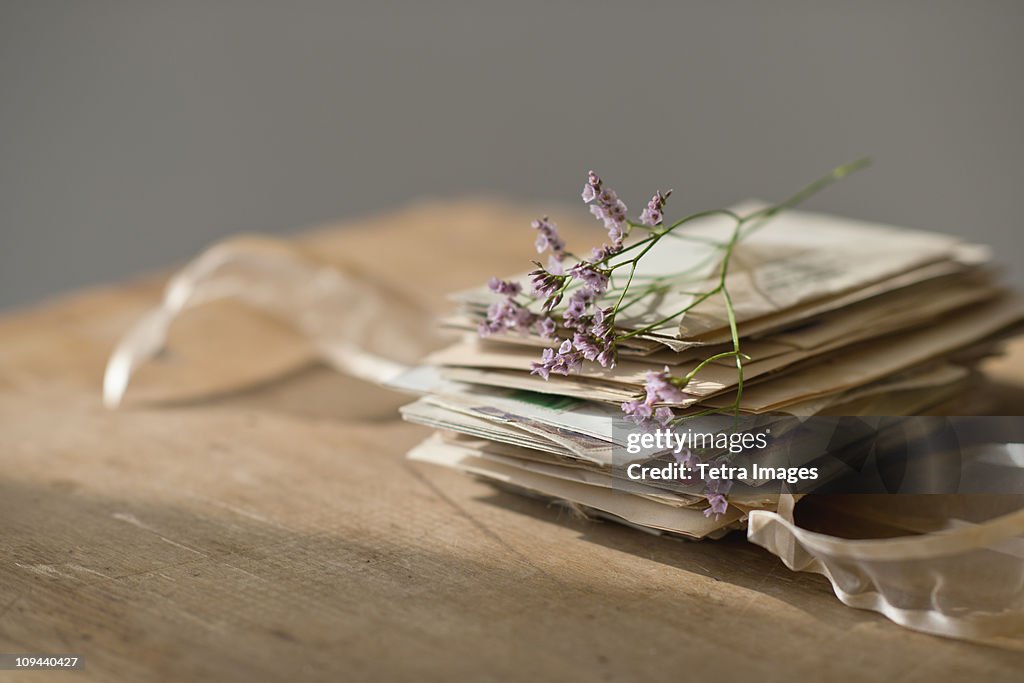 Lavender stem on stack of letters