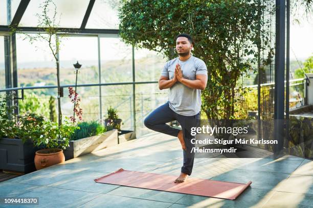 jongeman beoefenen van boom pose op de trainingsmat - man doing yoga in the morning stockfoto's en -beelden