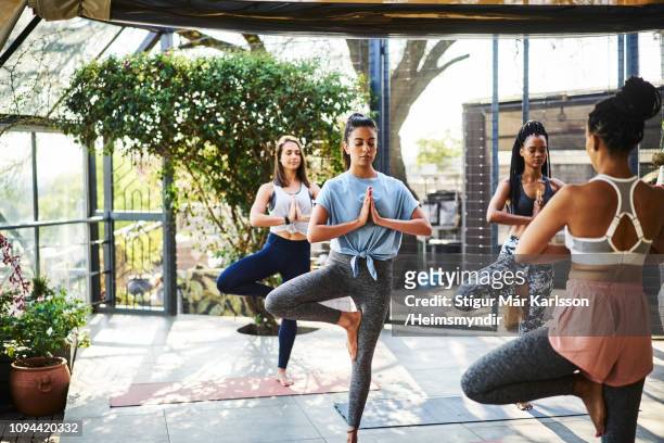 multi-ethnic females practicing tree pose on mat - yoga instructor stock pictures, royalty-free photos & images