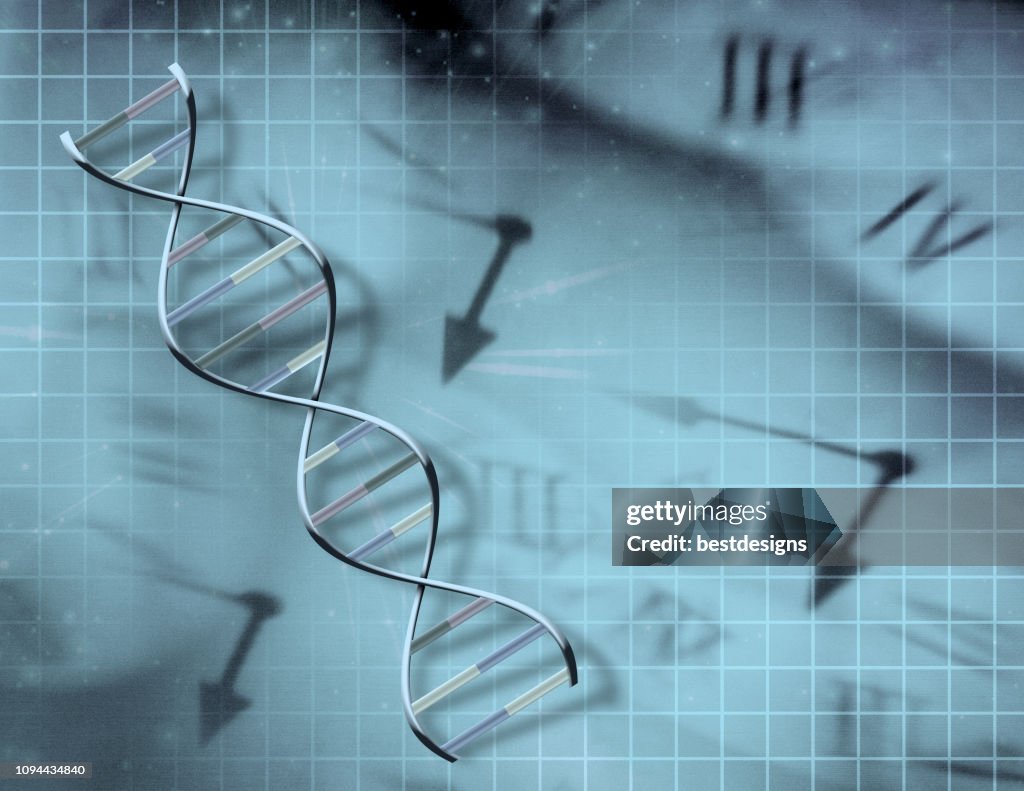 Clock and DNA