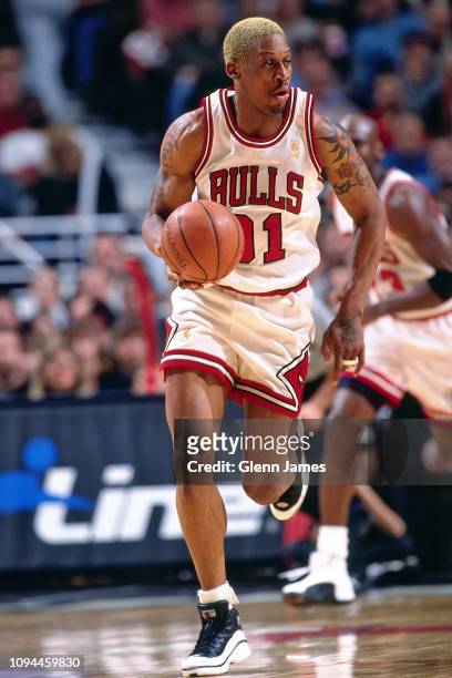 Dennis Rodman of the Chicago Bulls handles the ball against the Denver Nuggets on February 18, 1997 at the United Center in Chicago, Illinois. NOTE...