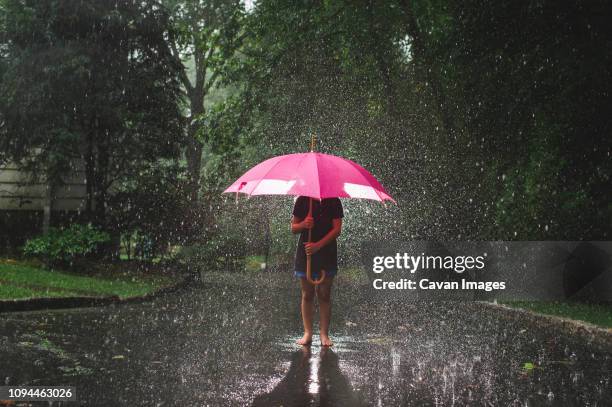 girl carrying umbrella while standing on road against trees during rainfall - girl wet stock-fotos und bilder