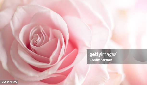 Tendencias Actuales en Magia Rosa y su Impacto en el Amor