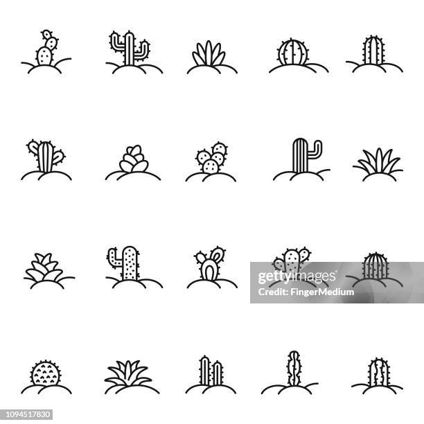 bildbanksillustrationer, clip art samt tecknat material och ikoner med cactus ikonuppsättning - kaktus