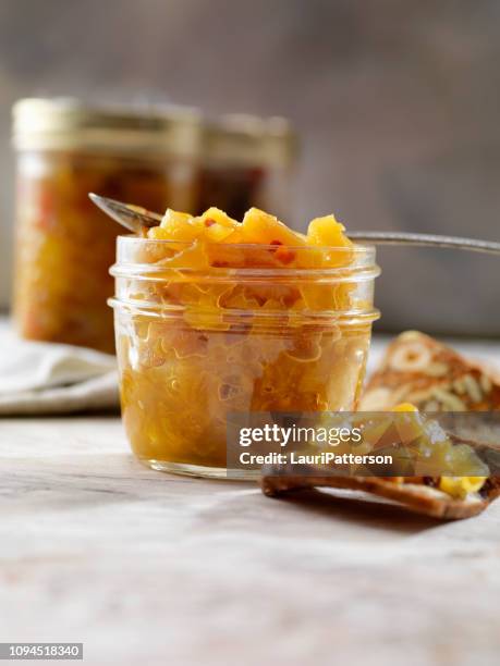 pineapple chutney with crackers - relish stock pictures, royalty-free photos & images