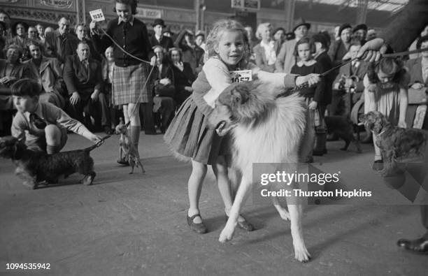 Children and their dogs at Crufts dog show, held at the Grand Hall, Olympia, London, 8th-9th February 1952. Original Publication: Picture Post - Dog...