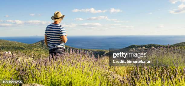 tourist standing among lavender on hill overlooking sea,hvar,croatia - hvar stock pictures, royalty-free photos & images