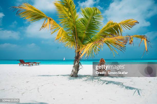 woman on beach under palm tree,maldives - tropical tree stock pictures, royalty-free photos & images