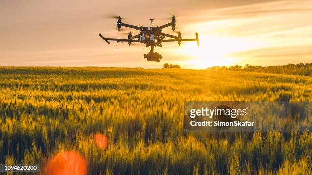drone che vola sul campo al tramonto - ripresa di drone foto e immagini stock