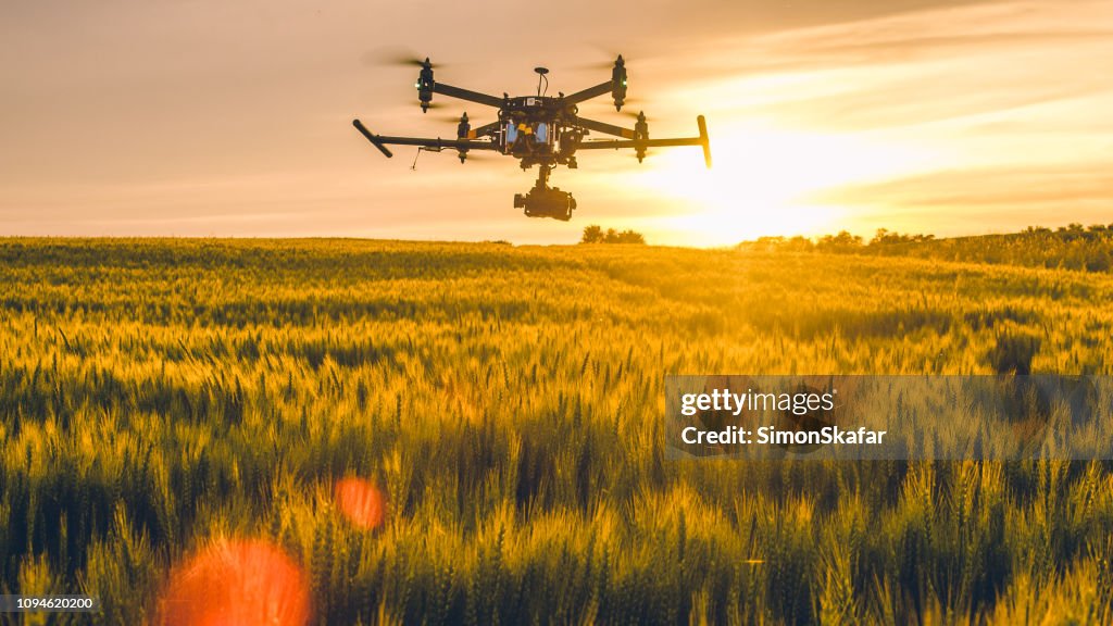 Drone vliegt over het veld bij zonsondergang