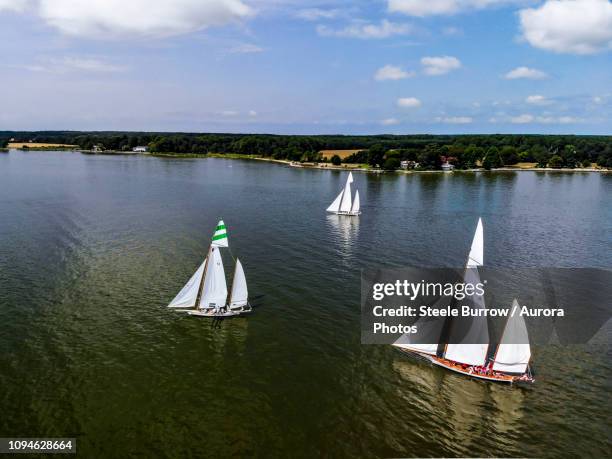 sailboats in regatta along chesapeake bay, maryland, usa - chesapeake bay stock pictures, royalty-free photos & images