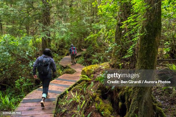 two people hiking in forest, tofino, british columbia, canada - pacific rim national park reserve photos et images de collection