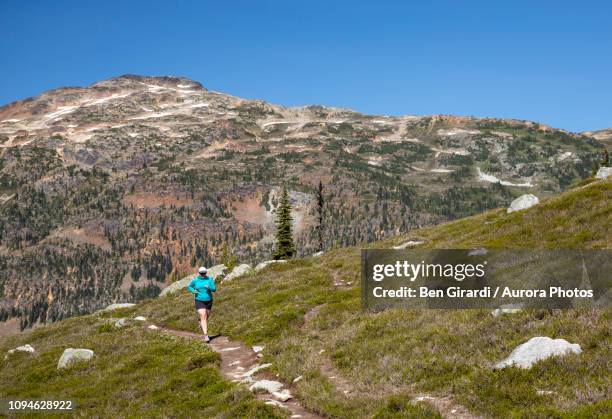 woman trail running in mountains, pemberton, british columbia, canada - hurley stick stock pictures, royalty-free photos & images