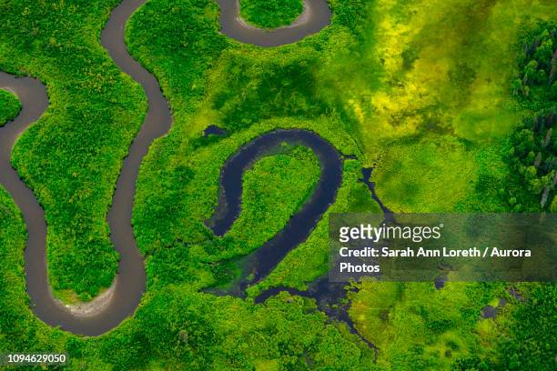 aerial view of river, denali national park, alaska, usa - oxbow bend stock-fotos und bilder