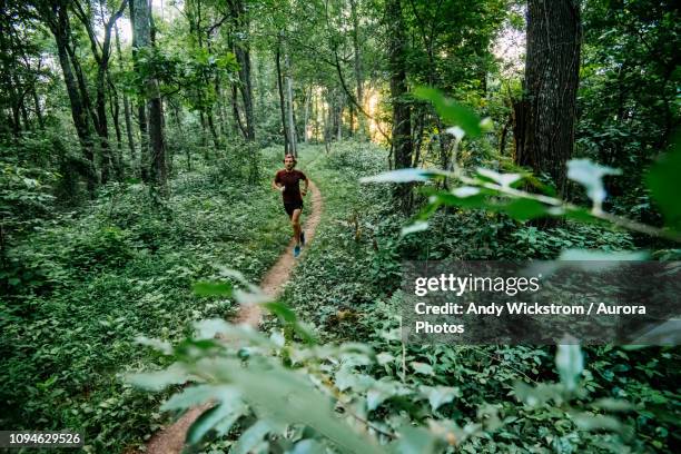 man jogging in forest along mountain to sea trail, asheville, north carolina, usa - carrera de campo través fotografías e imágenes de stock