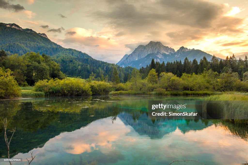 Lake Zelenci Springs, Gorenjska, Slovenië