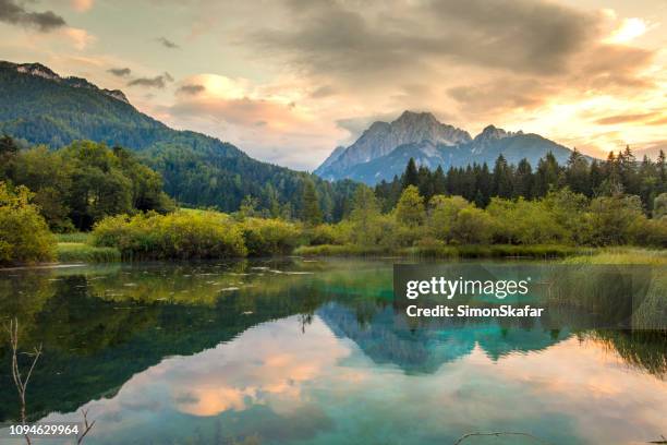 lago em zelenci springs, alta carniola, eslovénia - reserva natural - fotografias e filmes do acervo
