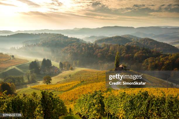 view of green mountains.  heart among vineyards - slovenia mountains stock pictures, royalty-free photos & images