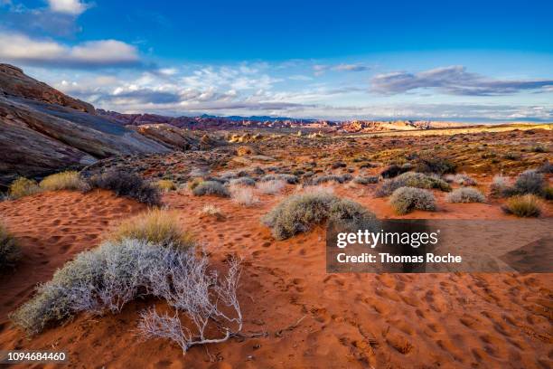 mojave desert landscape in the afternoon - nevada landscape stock pictures, royalty-free photos & images