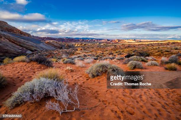 mojave desert landscape in the afternoon - deserto de mojave - fotografias e filmes do acervo