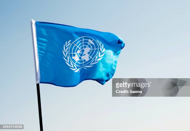 drapeau des nations unies dans le vent - drapeau des nations unies photos et images de collection