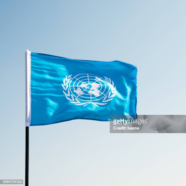 drapeau des nations unies dans le vent - drapeau des nations unies photos et images de collection