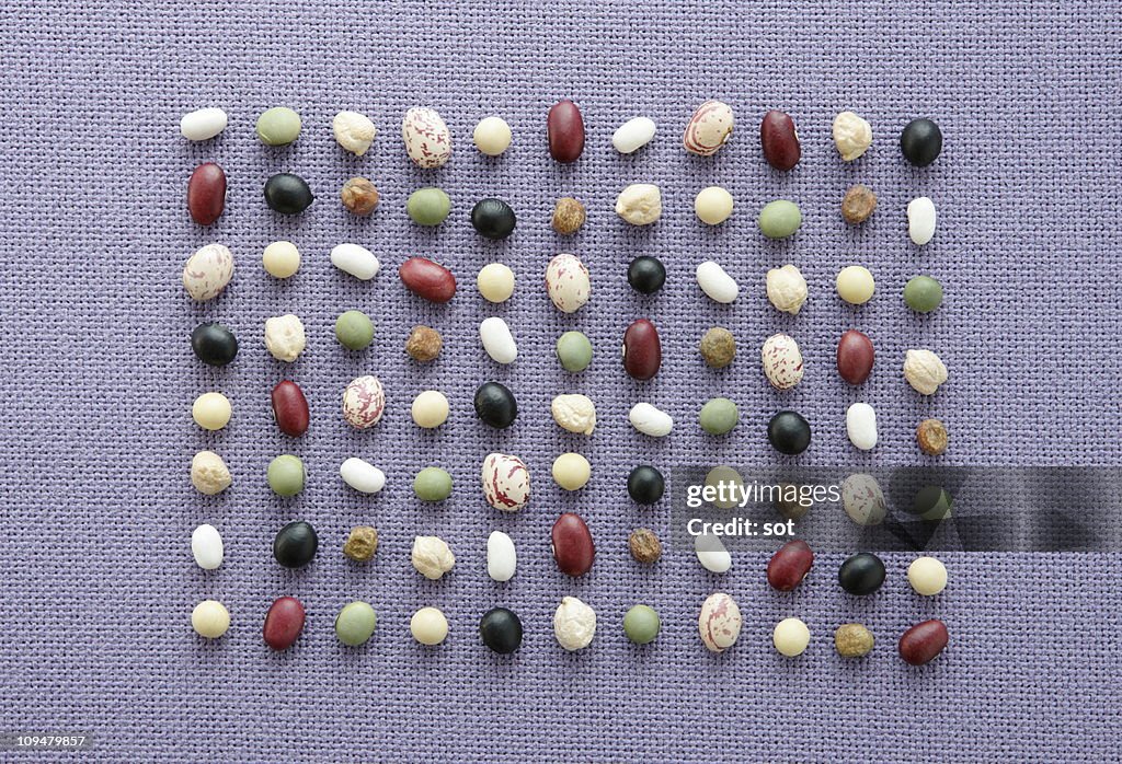 Various dried Beans in row