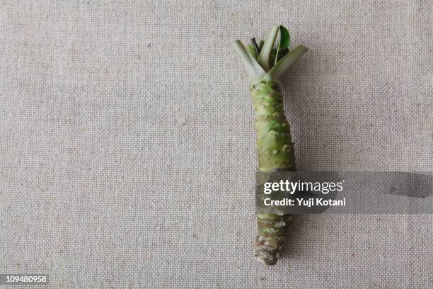 vegetable - fresh wasabi stock-fotos und bilder